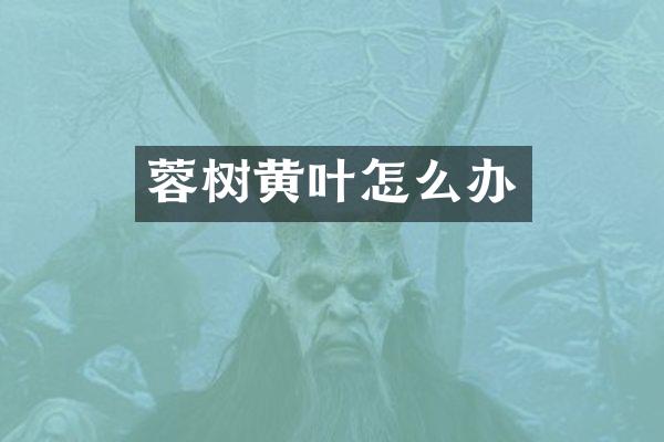 蓉树黄叶怎么办