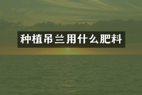 种植吊兰用什么肥料