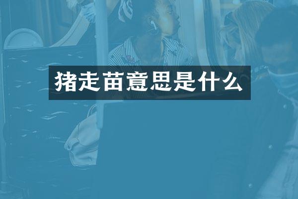 猪走苗意思是什么