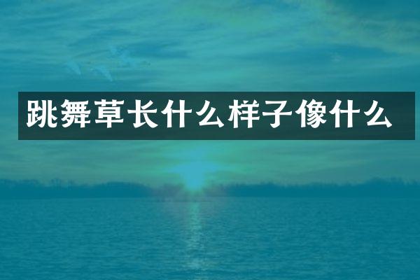 跳舞草长什么样子像什么