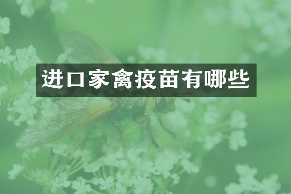 进口家禽疫苗有哪些