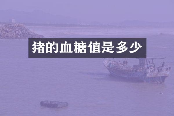 猪的血糖值是多少