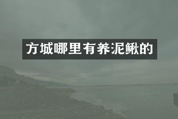 方城哪里有养泥鳅的