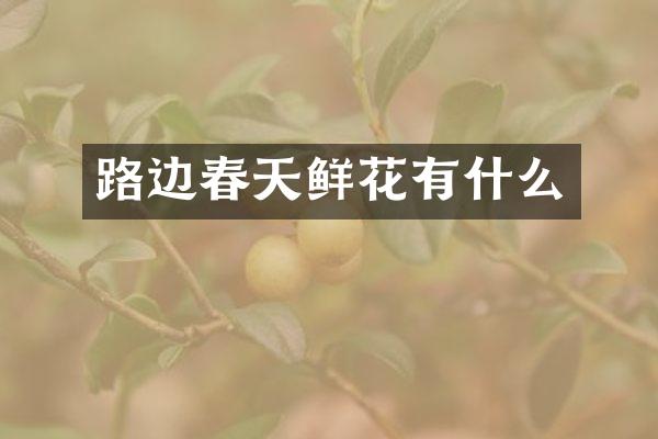 路边春天鲜花有什么
