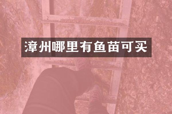 漳州哪里有鱼苗可买