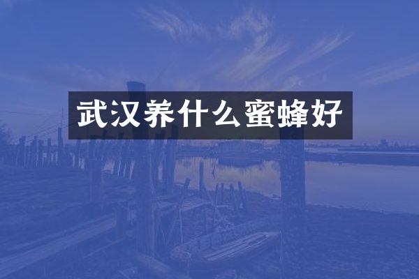 武汉养什么蜜蜂好