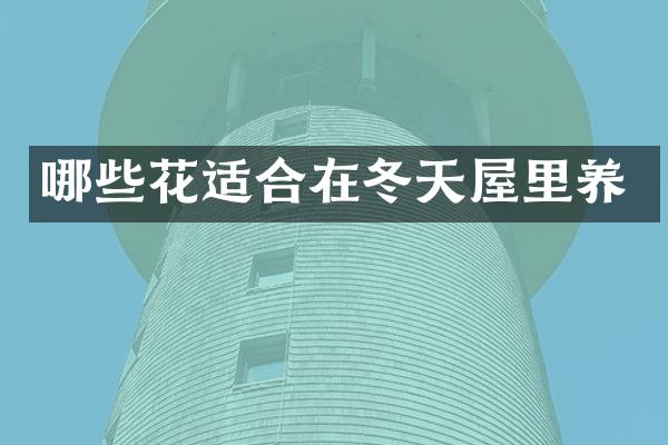 哪些花适合在冬天屋里养