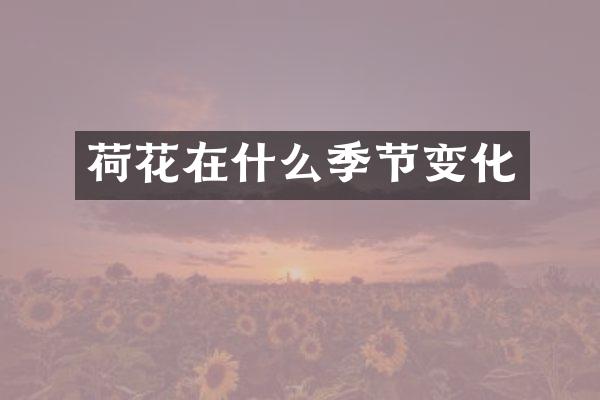 荷花在什么季节变化