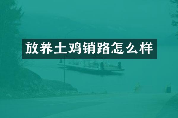放养土鸡销路怎么样