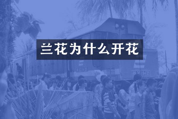 兰花为什么开花