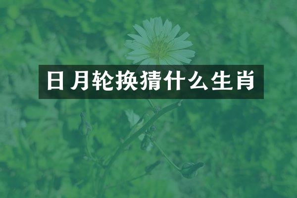 日月轮换猜什么生肖