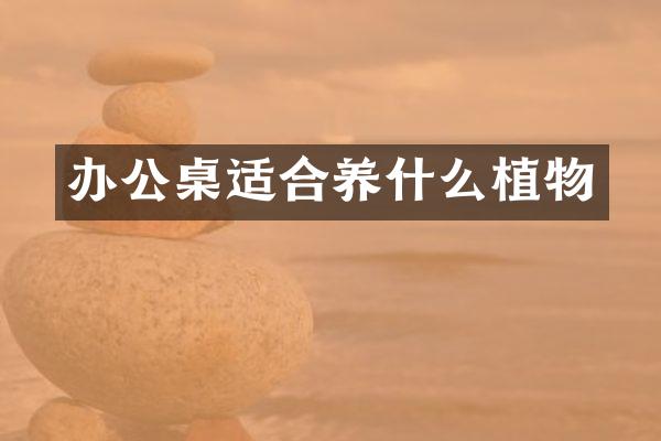 办公桌适合养什么植物