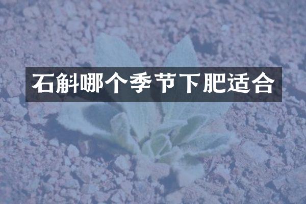 石斛哪个季节下肥适合