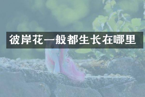 彼岸花一般都生长在哪里