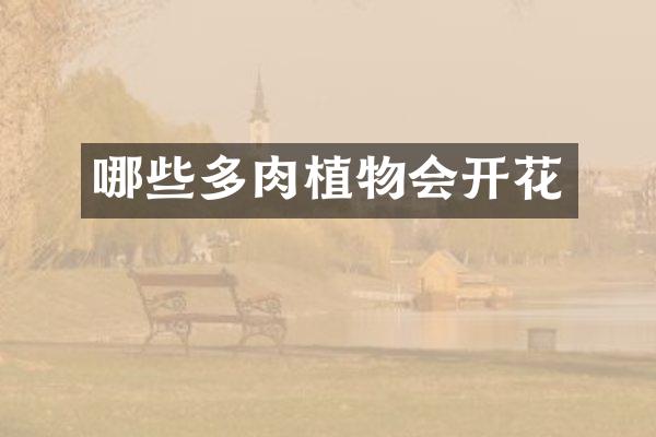 哪些多肉植物会开花