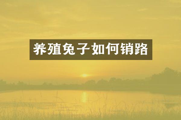 养殖兔子如何销路