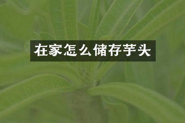 在家怎么储存芋头