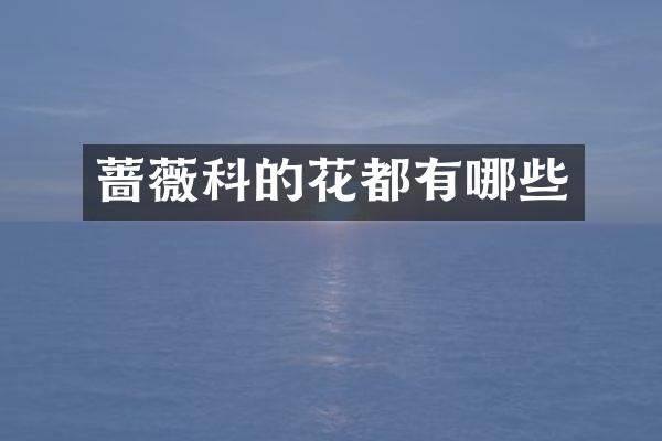 蔷薇科的花都有哪些