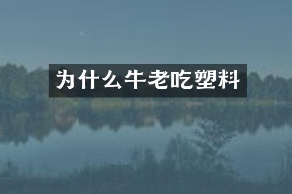 为什么牛老吃塑料