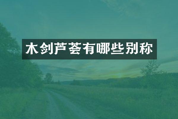 木剑芦荟有哪些别称