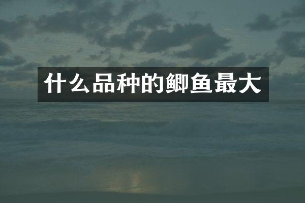什么品种的鲫鱼最大