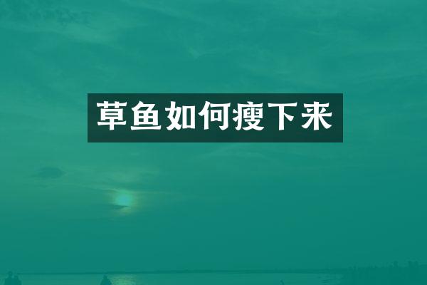 草鱼如何瘦下来