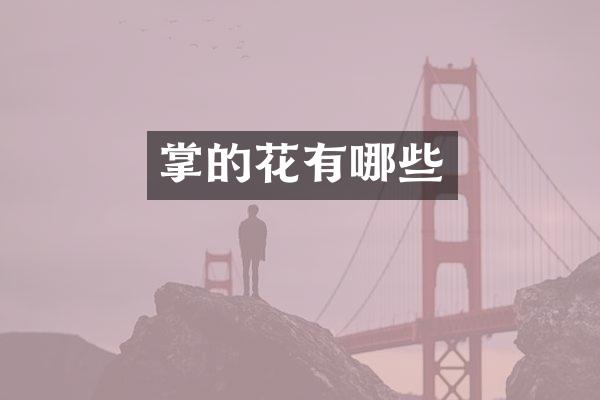 掌的花有哪些