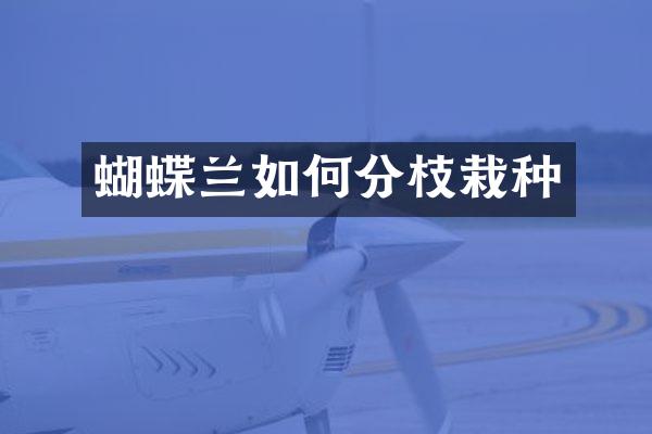 蝴蝶兰如何分枝栽种