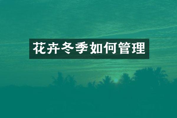 花卉冬季如何管理