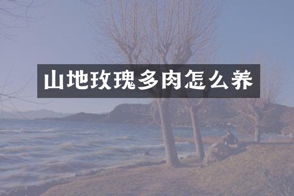 山地玫瑰多肉怎么养