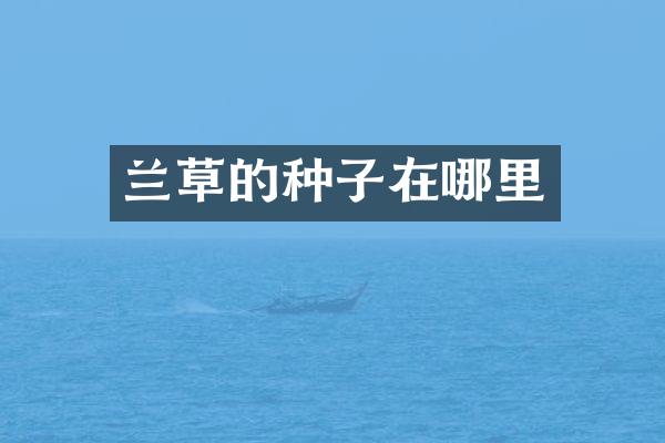 兰草的种子在哪里