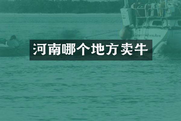 河南哪个地方卖牛