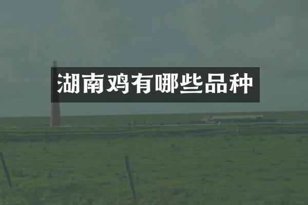 湖南鸡有哪些品种