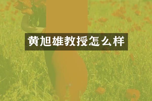 黄旭雄教授怎么样