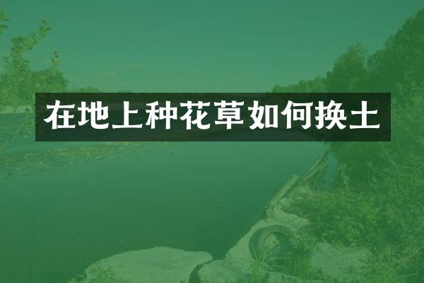 在地上种花草如何换土