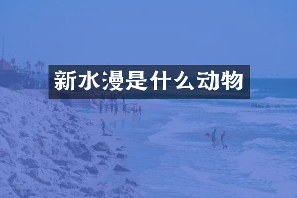 新水漫是什么动物