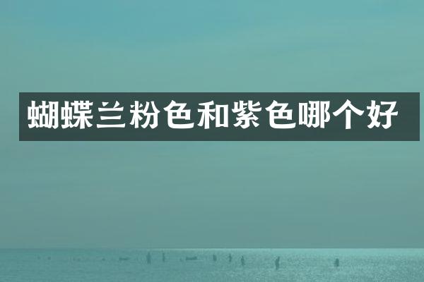 蝴蝶兰粉色和紫色哪个好