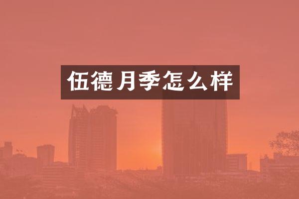 伍德月季怎么样