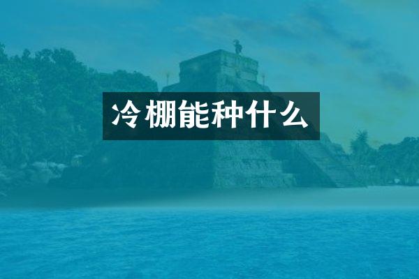 冷棚能种什么