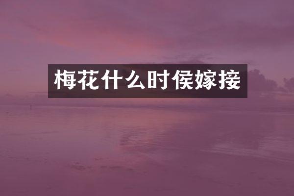 梅花什么时侯嫁接