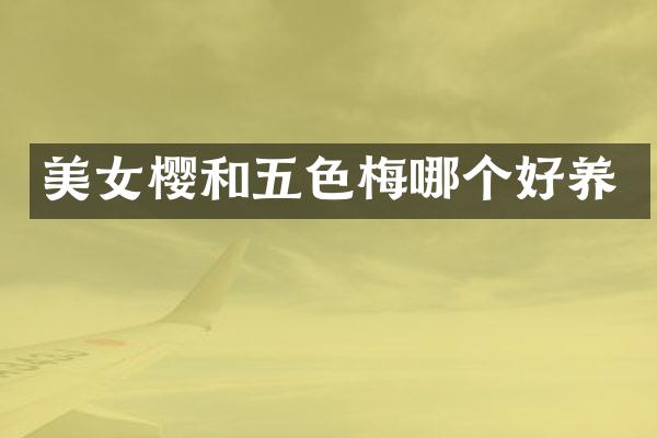 美女樱和五色梅哪个好养