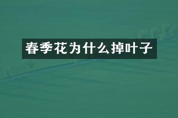 春季花为什么掉叶子