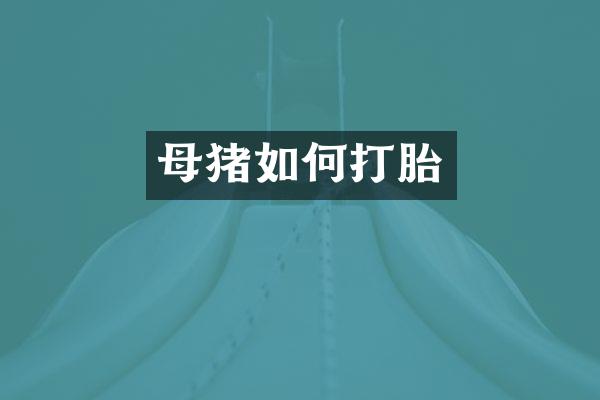 母猪如何打胎
