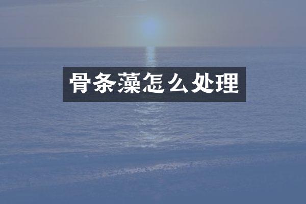 骨条藻怎么处理