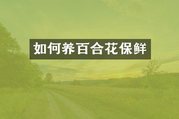 如何养百合花保鲜