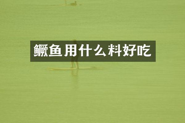 鳜鱼用什么料好吃
