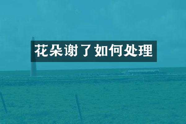 花朵谢了如何处理