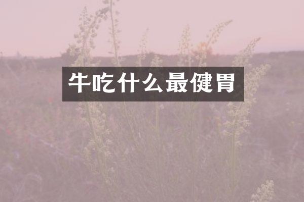 牛吃什么最健胃