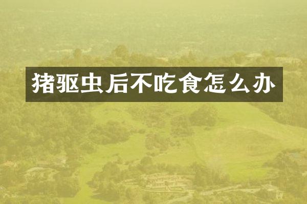 猪驱虫后不吃食怎么办