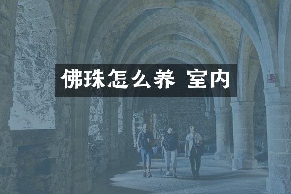佛珠怎么养 室内